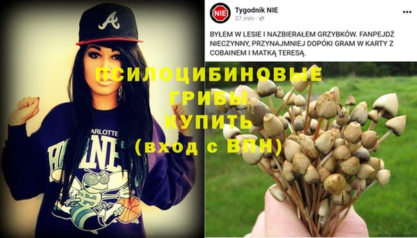 крисы Аркадак