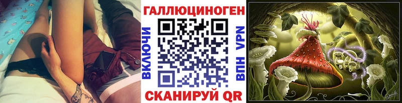 Галлюциногенные грибы Psilocybine cubensis  KRAKEN   Белорецк 